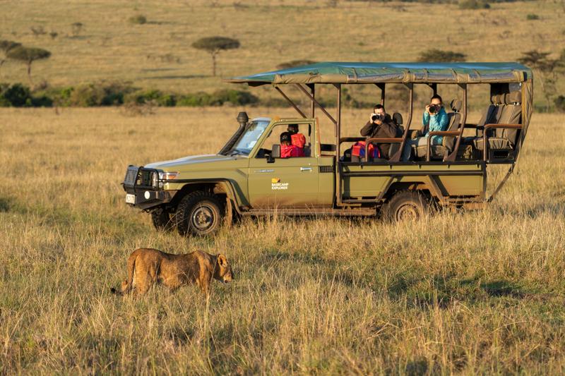 Luxury Safari Experience in Samburu and Masai Mara 2026