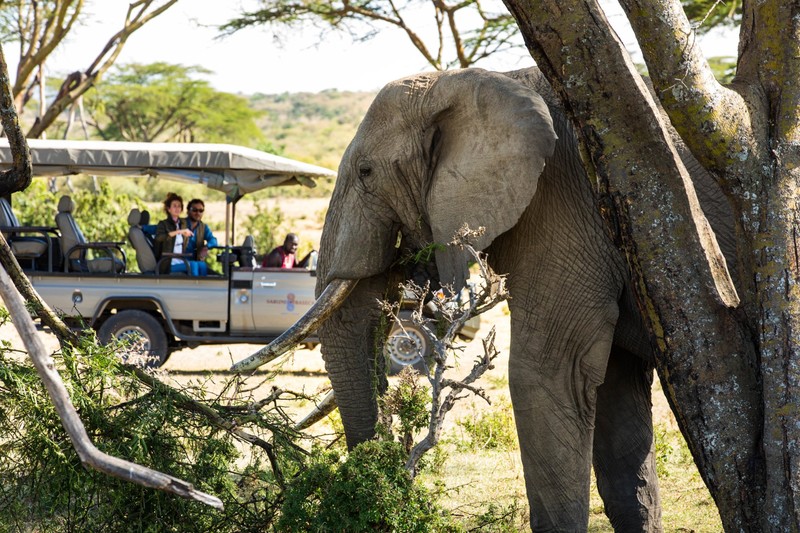 Samburu-Masai Mara 2026: Best Kenya Luxury Safari Package
