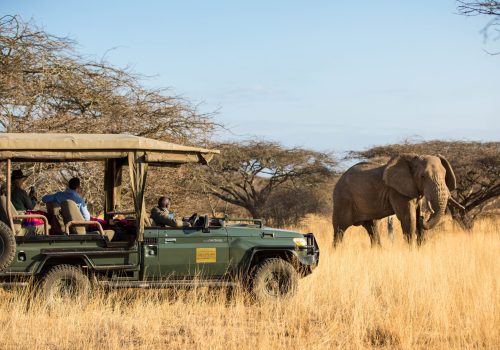 Kenya Safari and Beach Holiday: The Ultimate Luxury combo