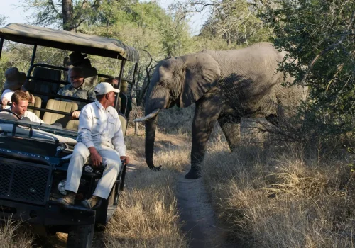 Africa Getaway Safaris 065