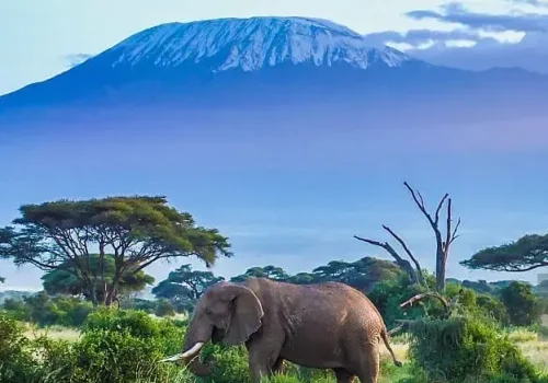 Africa Getaway Safaris 068