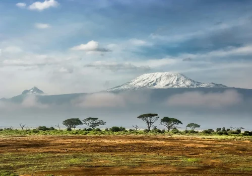 Africa Getaway Safaris 136
