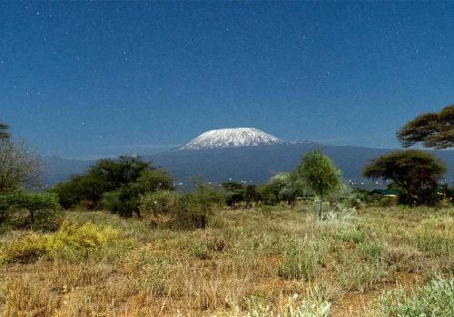 Africa Getaway Safaris 147