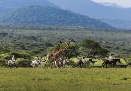 The Ultimate 7-Day Luxury Safari: Kenya's Masai Mara & Chyulu Hills