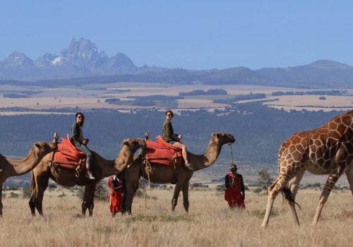 Kenya Family-friendly luxury Safari Tour package