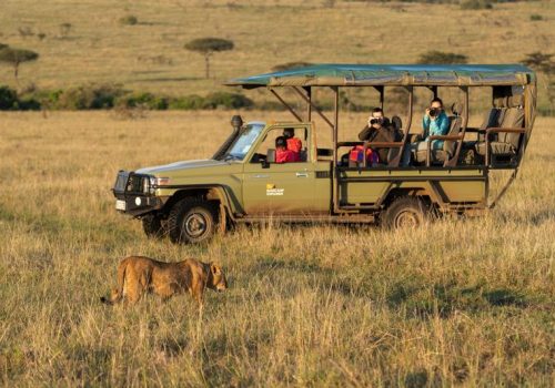 Luxury Safari Experience in Samburu and Masai Mara 2026