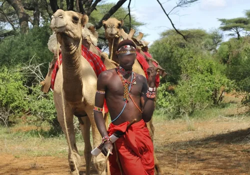 Luxury 7 days Flying Safari Kenya – Samburu and Masai Mara