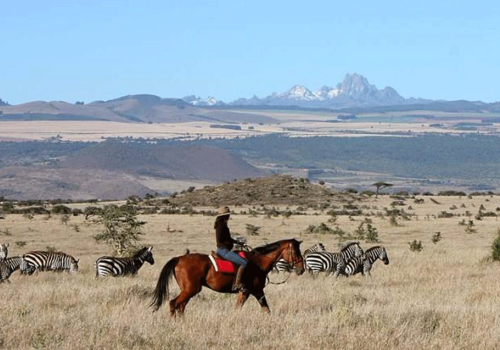 All-inclusive Kenya family luxury safari package