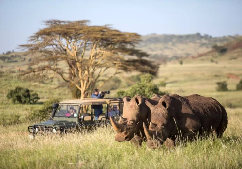 Family Safari in Kenya: Top Private Bush House Experiences